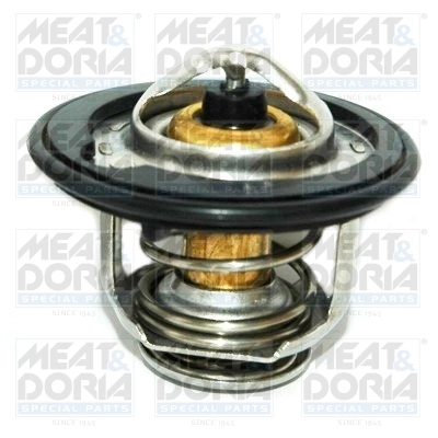 Thermostat, coolant